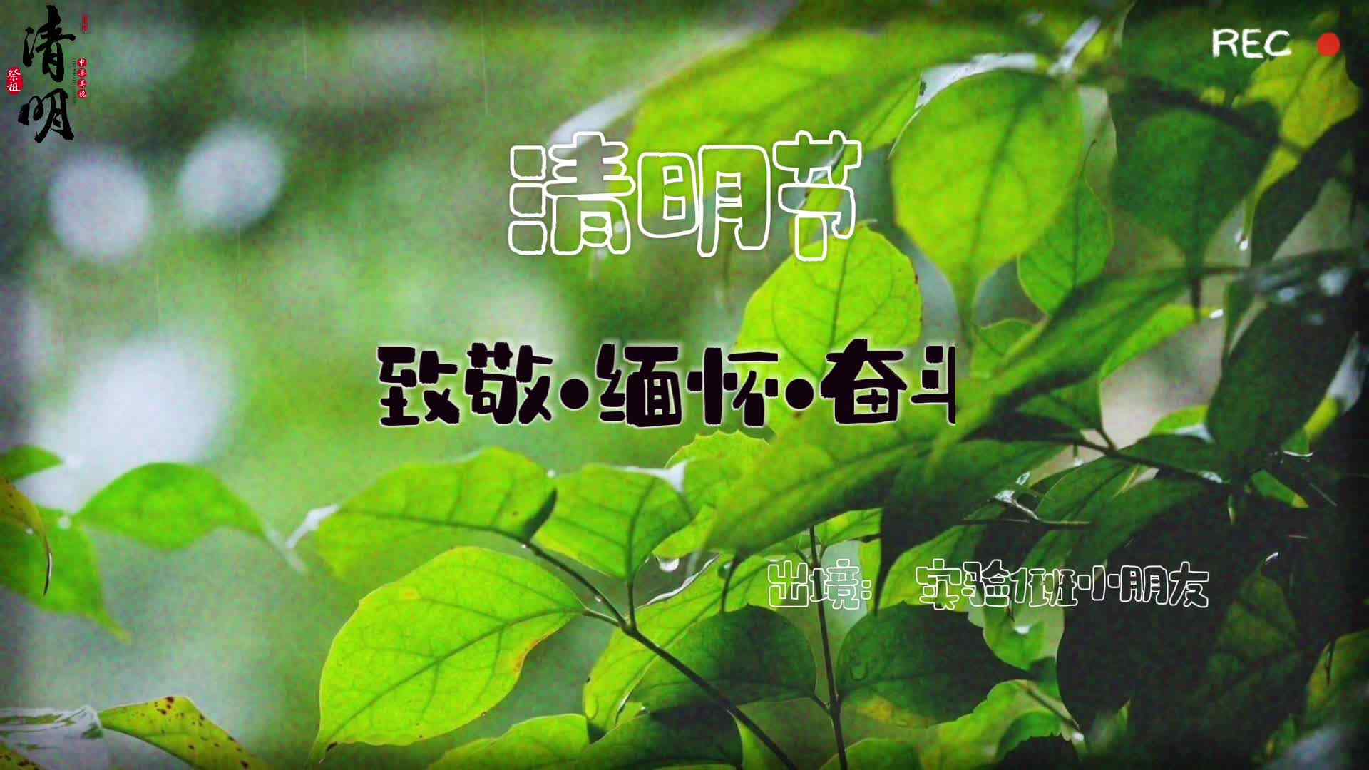 清明节—致敬·缅怀·奋斗