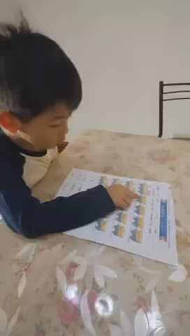 实验大班文浚棵2024.4.12
