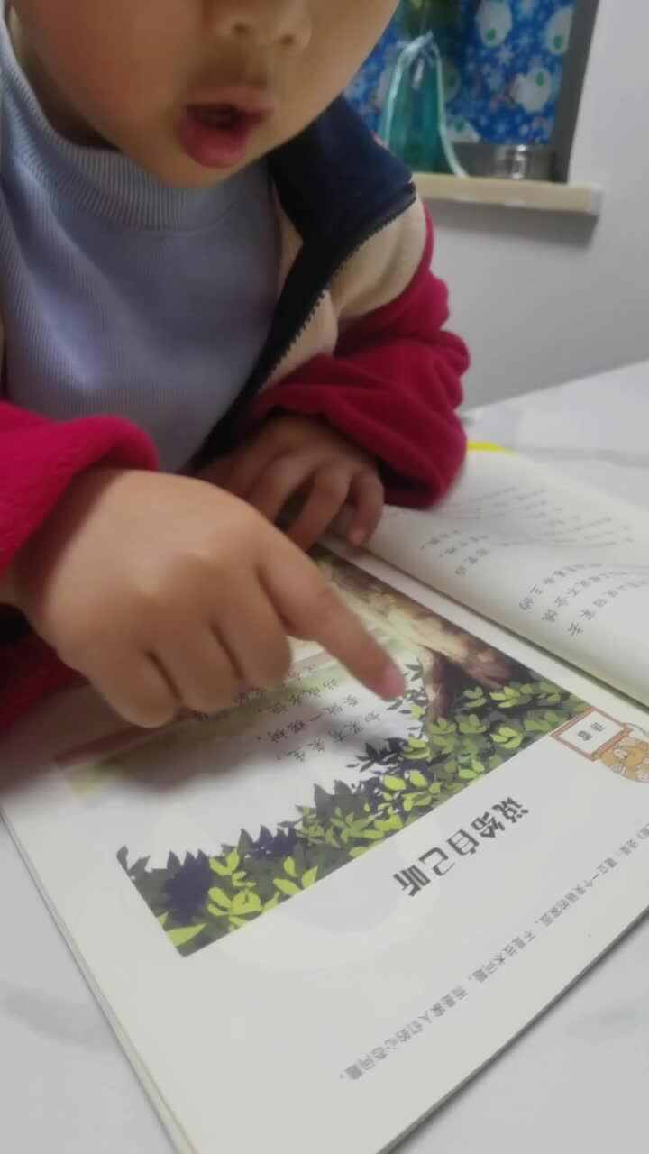 2024.4.10李梓睿阅读