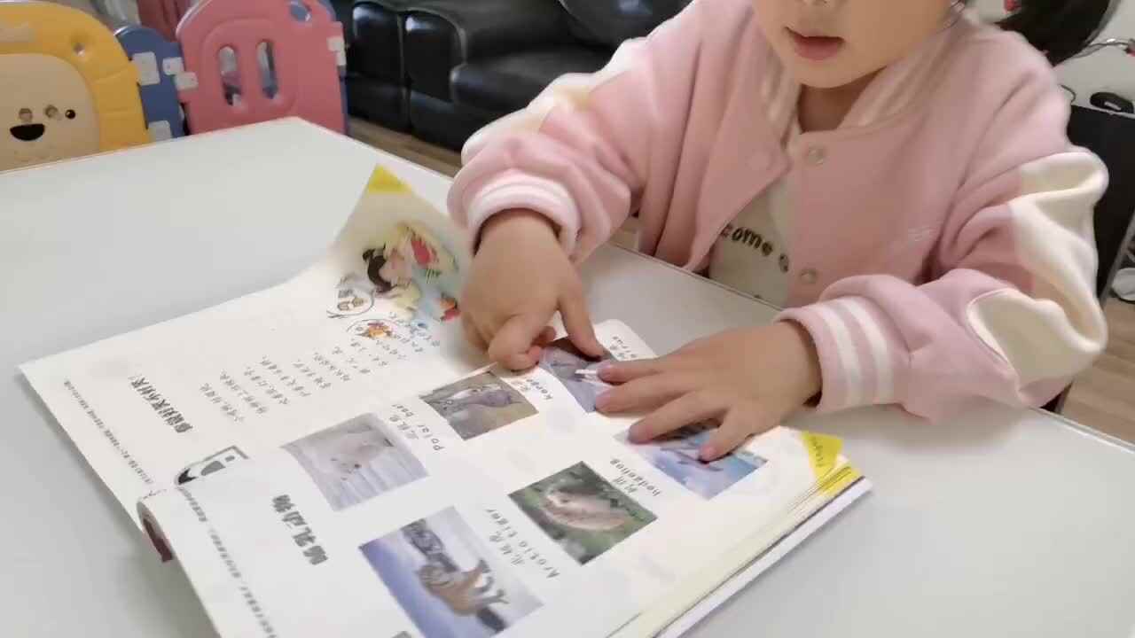 中b班宁汐言认识哺乳动物