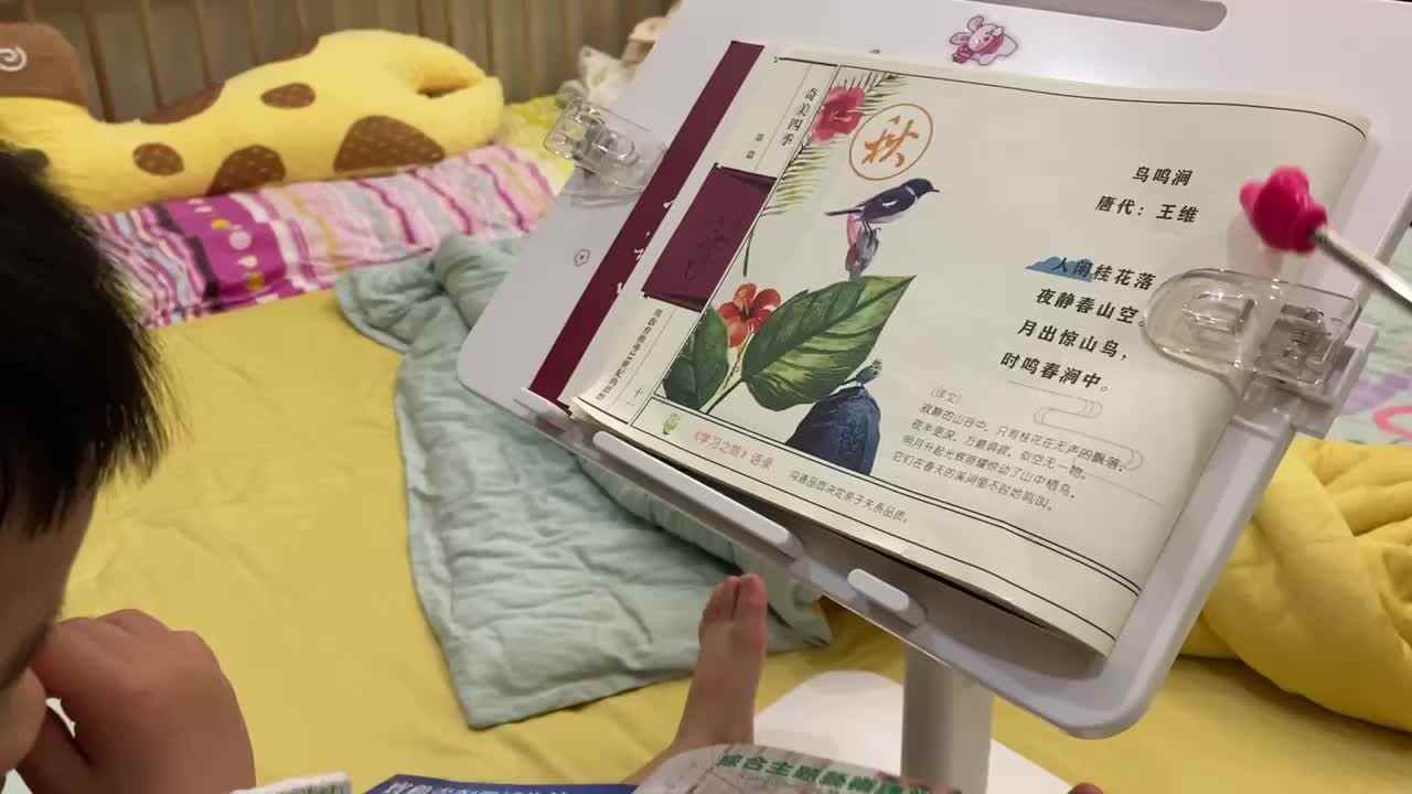 ⁣⁣⁣⁣⁣⁣⁣⁣2024-4-12小A班刘奕宸——指读古诗《鸟鸣涧》.MOV