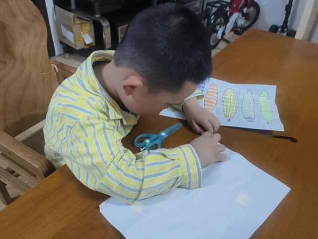 中B班赵芃栎练习使用双面胶