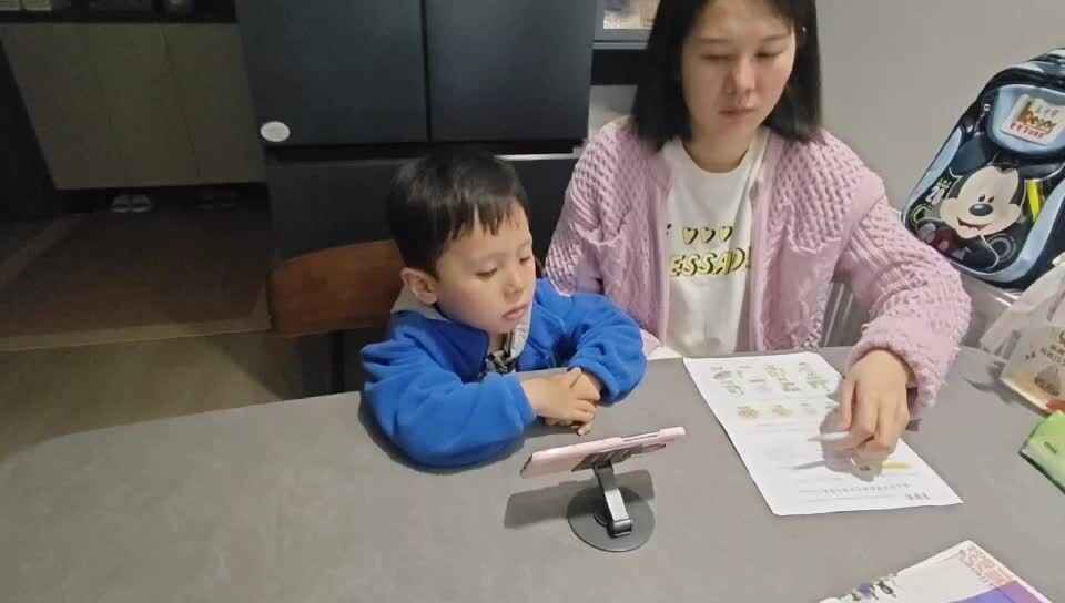 中B班王千与学习《清明日狸渡道中》