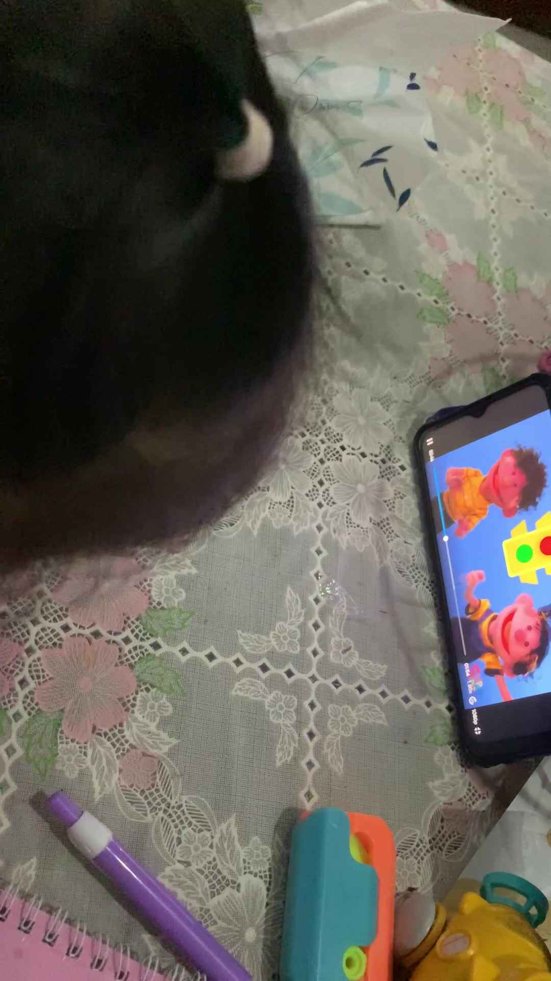 看英语视频学习红绿灯单词