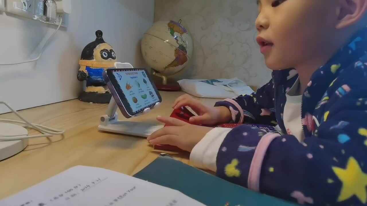 12082.mp4