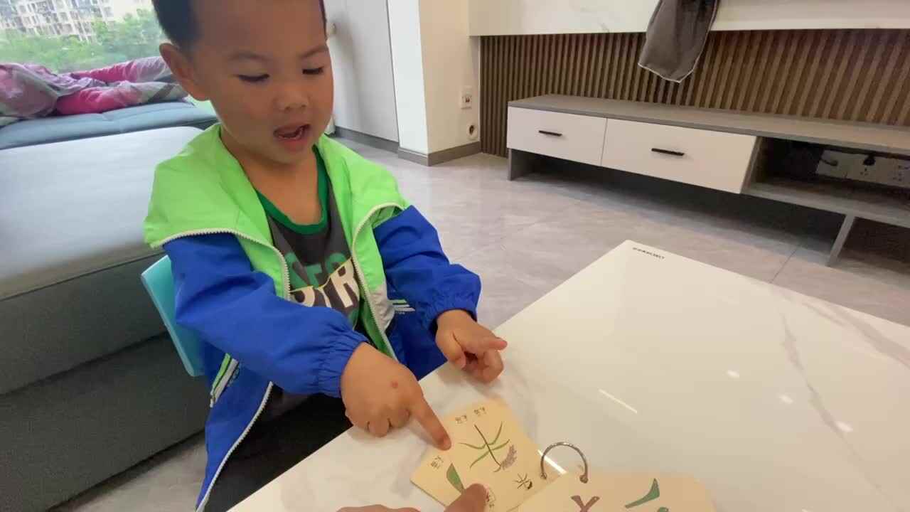 中B班吕子垚指读汉字（禾.苗.森.林）20240420