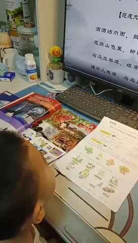 中B班吕子垚观看视频《清明日狸渡道中》20240406
