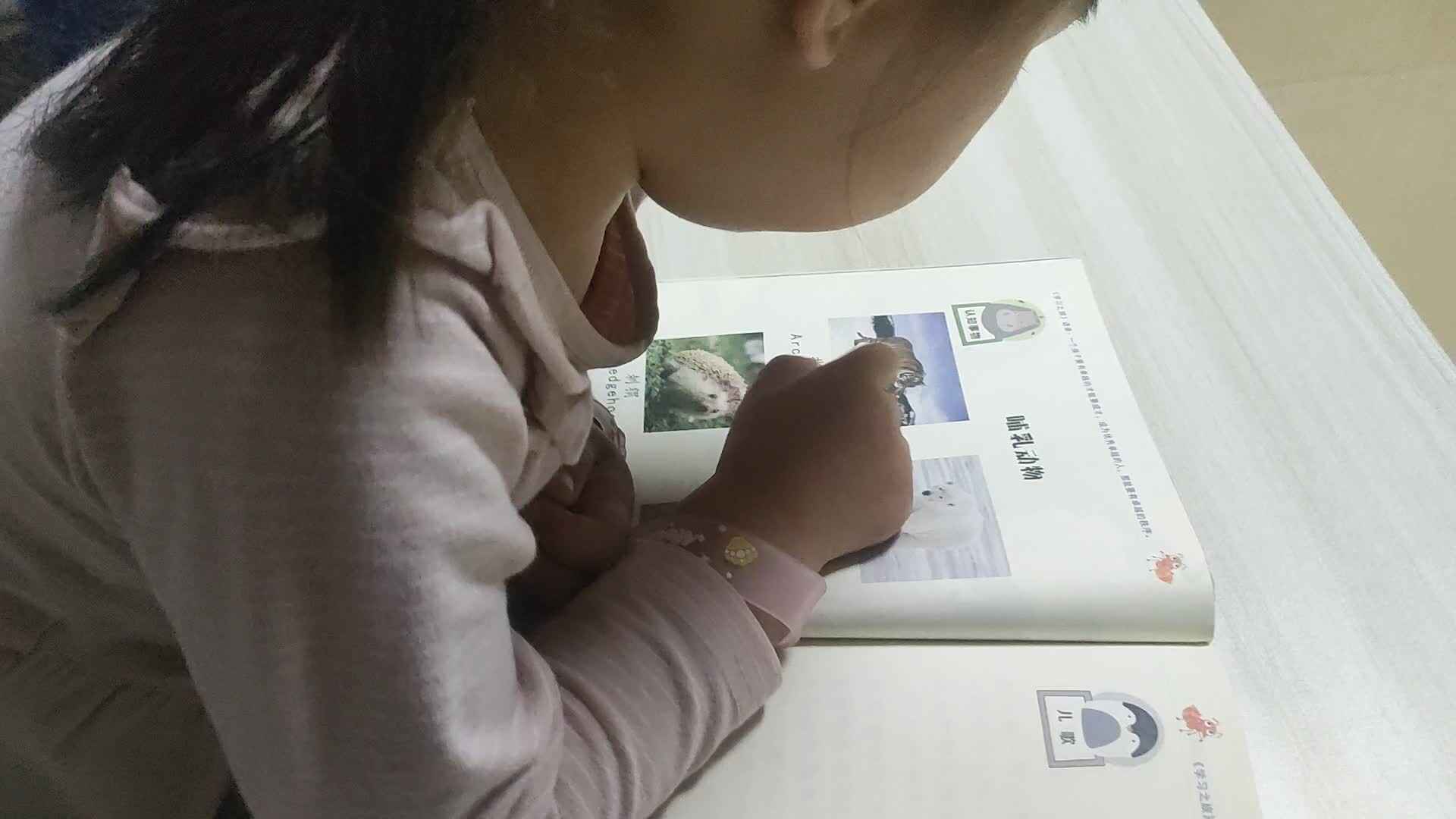 2024.4.2哺乳动物.mp4