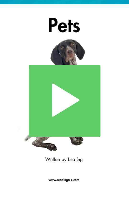 Pets 宠物.mp4