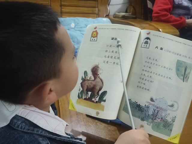 中B班赵芃栎指读《谜语》