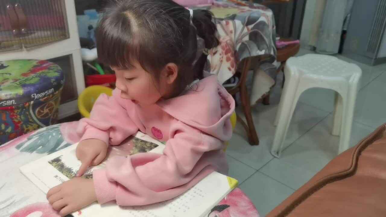 20240410大 B班魏琪珈指读.mp4