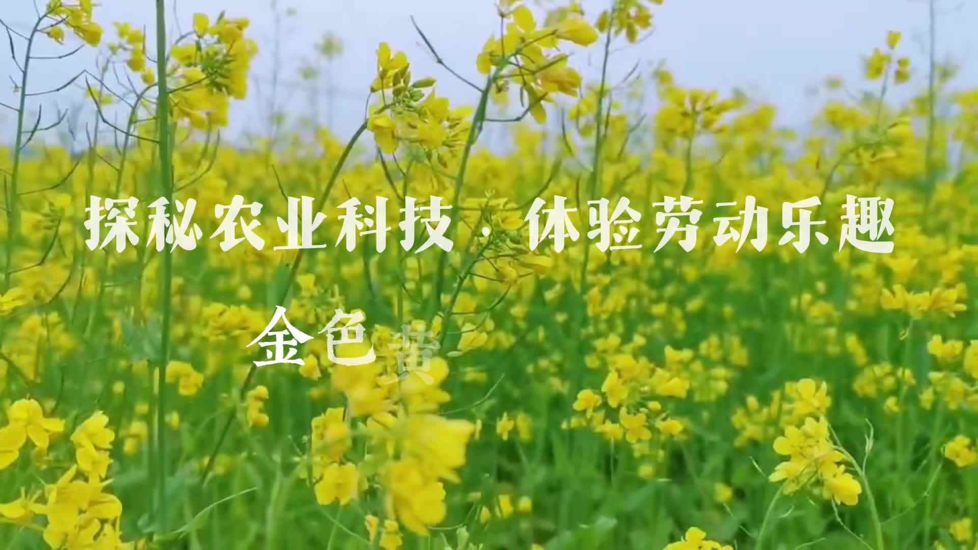 探秘农业科技 体验劳动乐趣