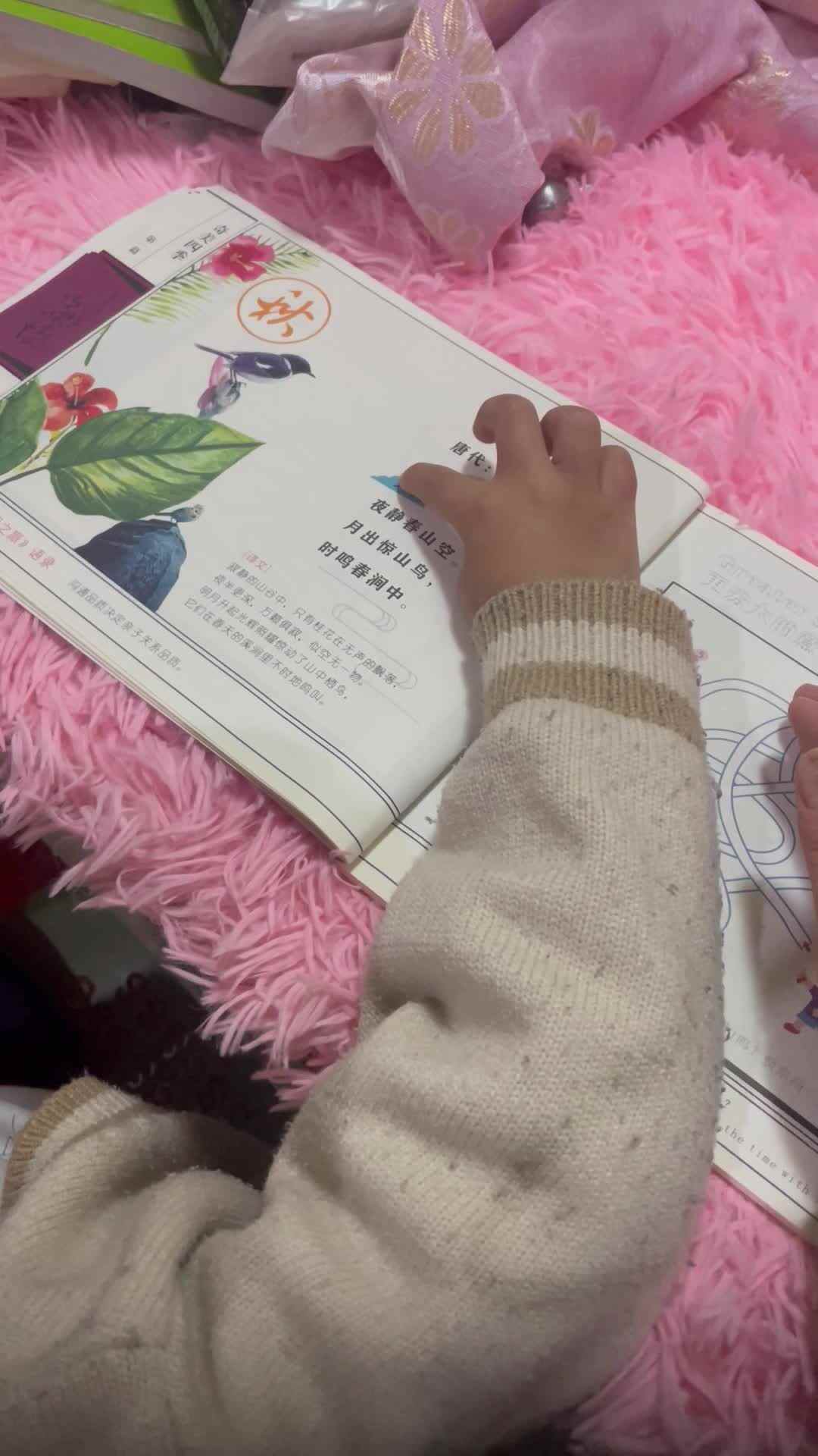 2024.4.14彭星硕阅读《鸟鸣涧》