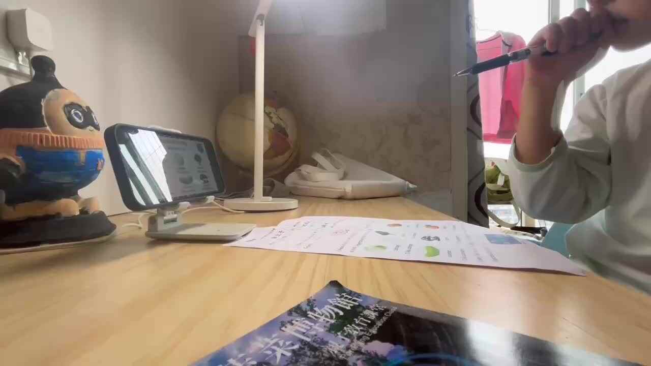 40034.mp4