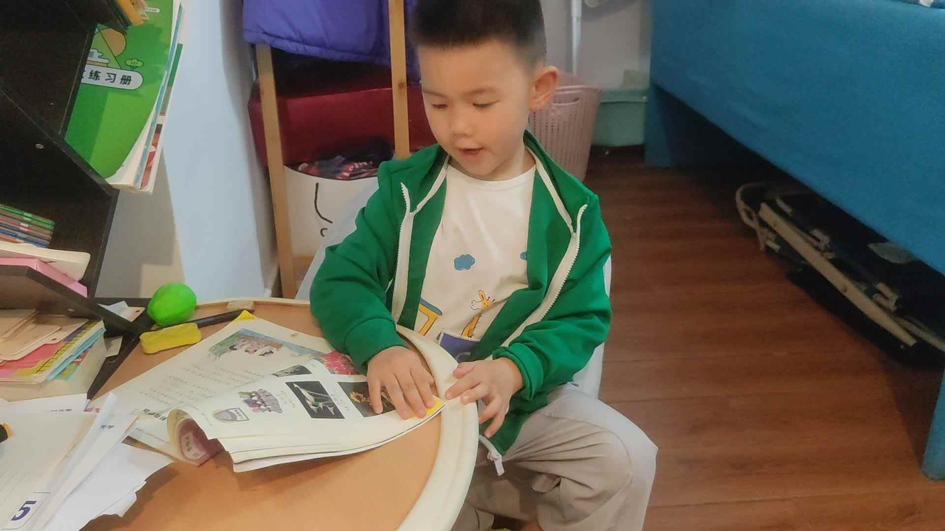 中B班李锦城20240508认识花卉