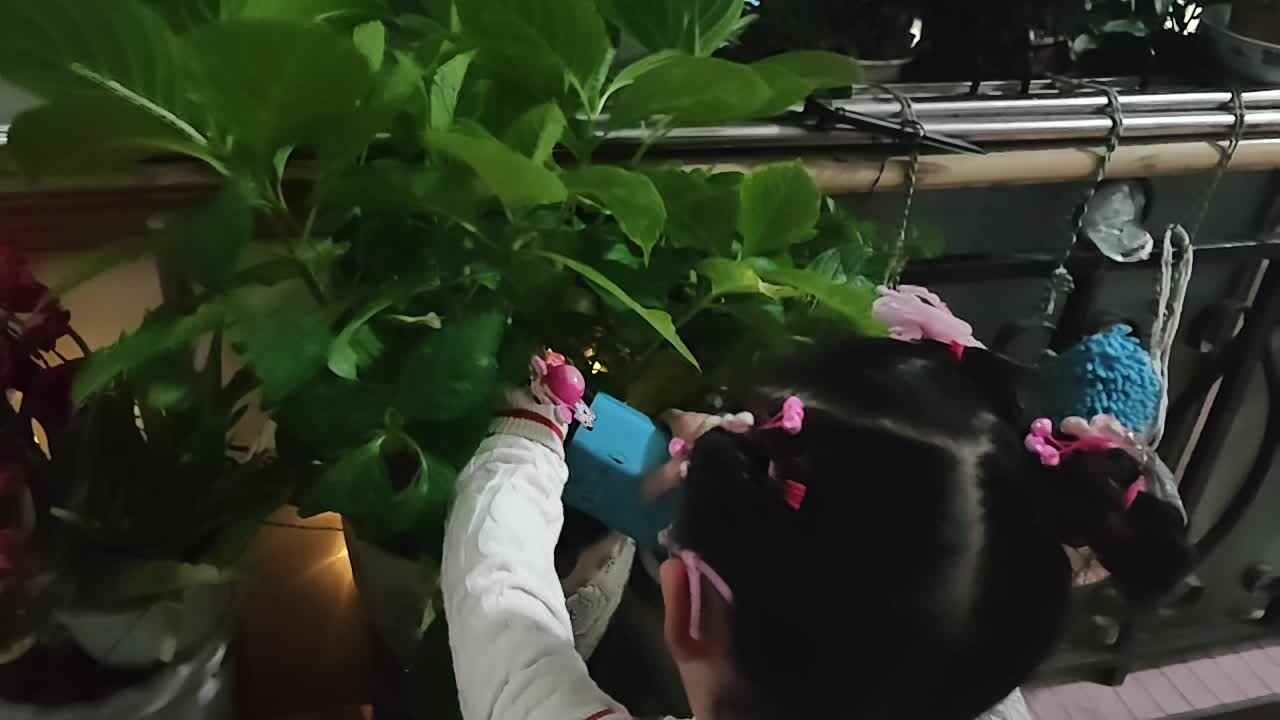 VID_20240508_202407.mp4