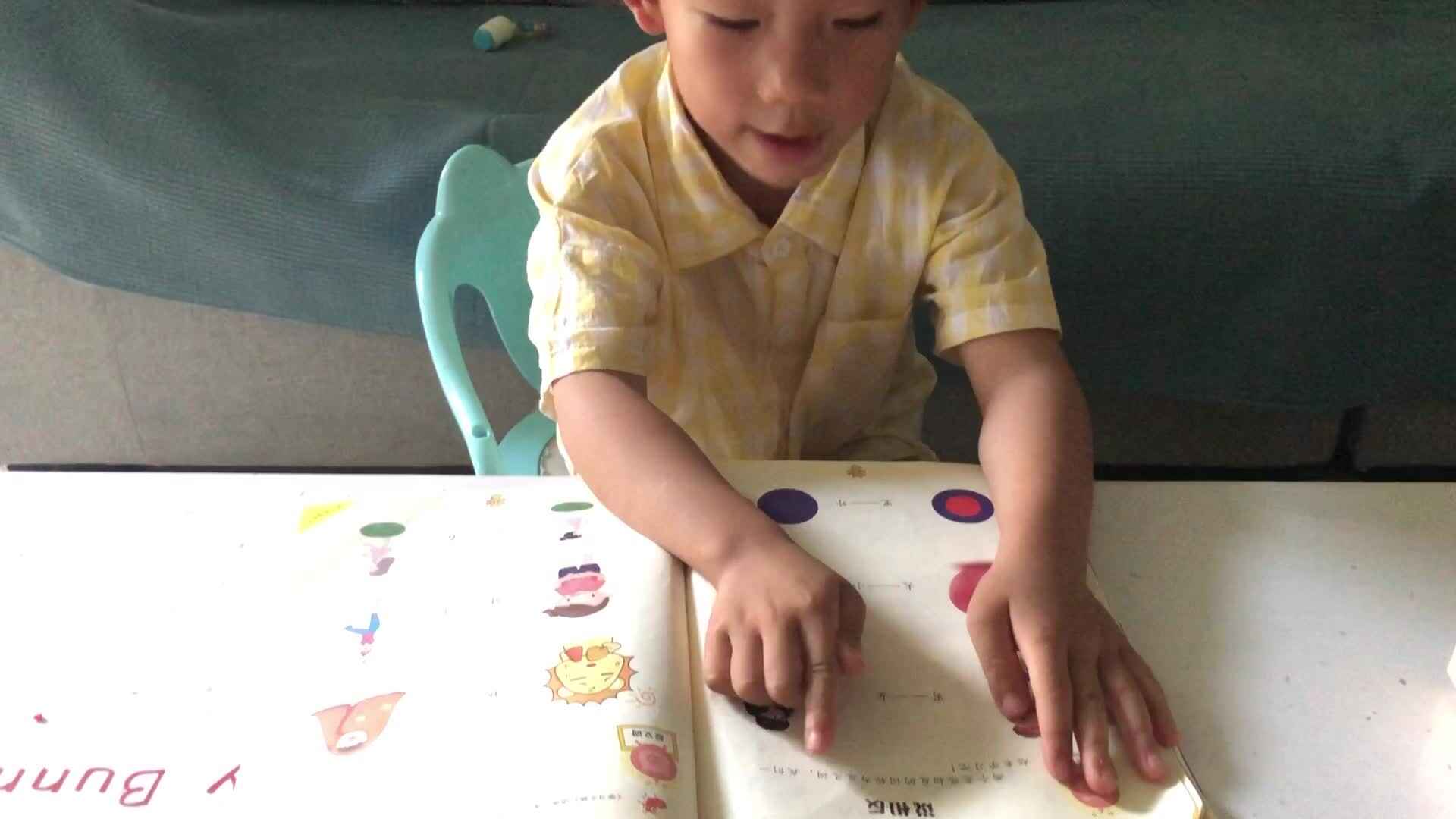 说相反