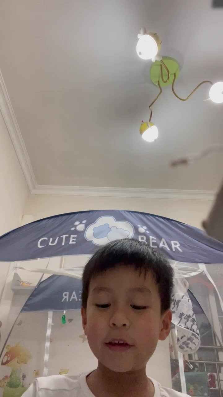 酉酉打卡