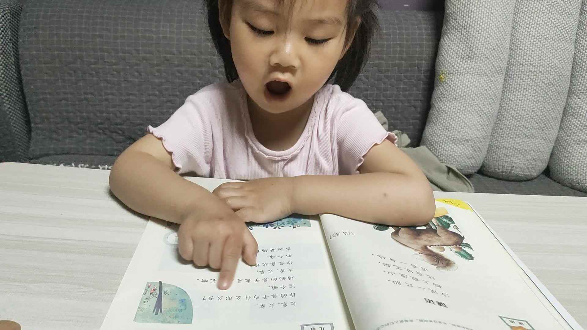 2024.4.28大象.mp4