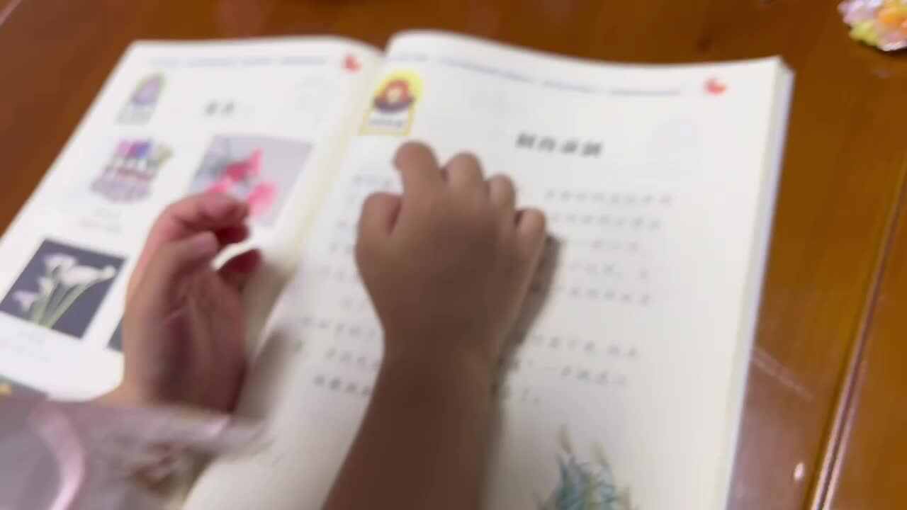 中B班李茵琪讲刻舟求剑的故事