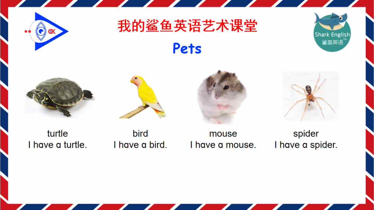 Pets 朗读示范2.mp4