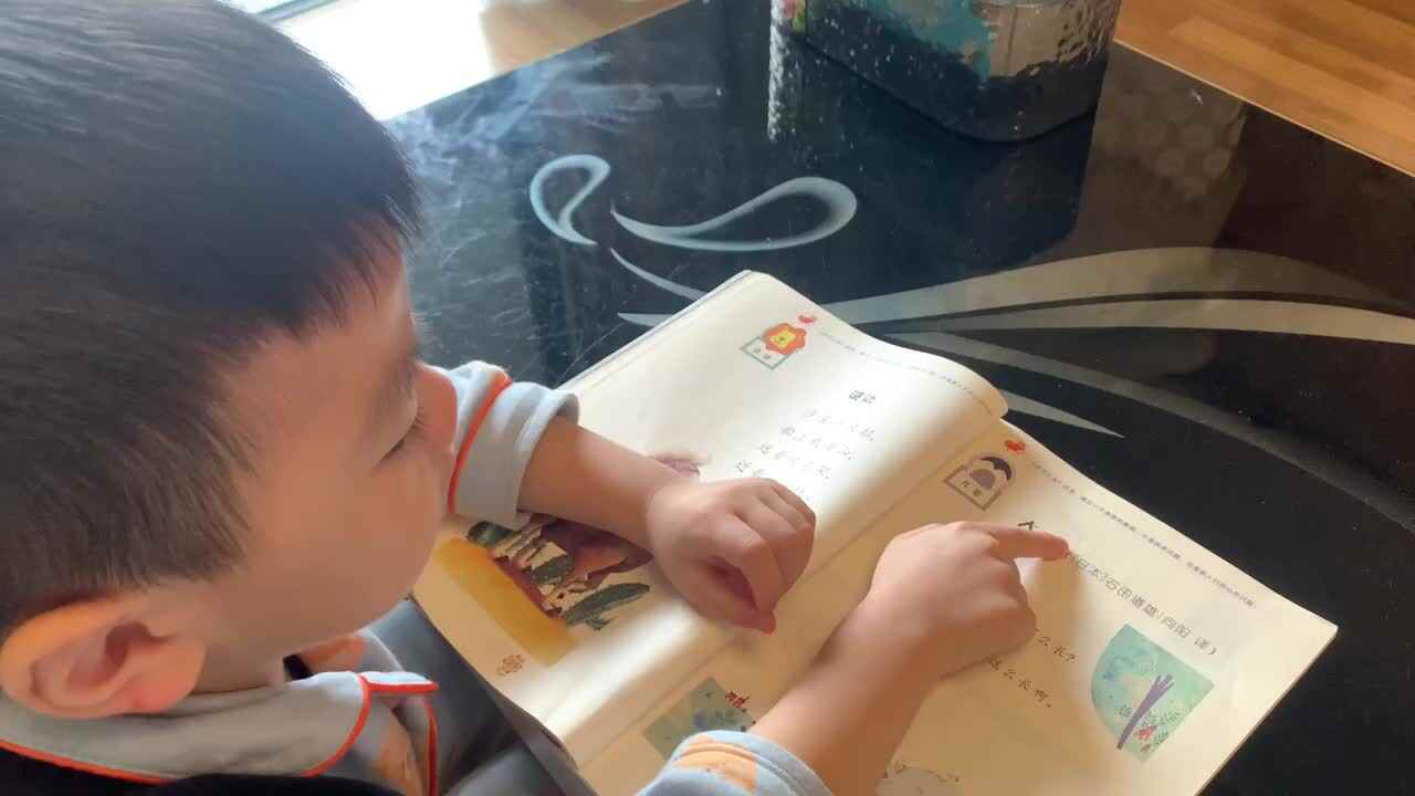 中B班杨育寒指读儿歌《大象》