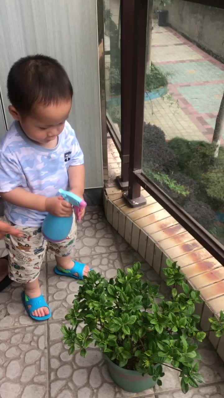 20240528实验小班刘雍洛生活
