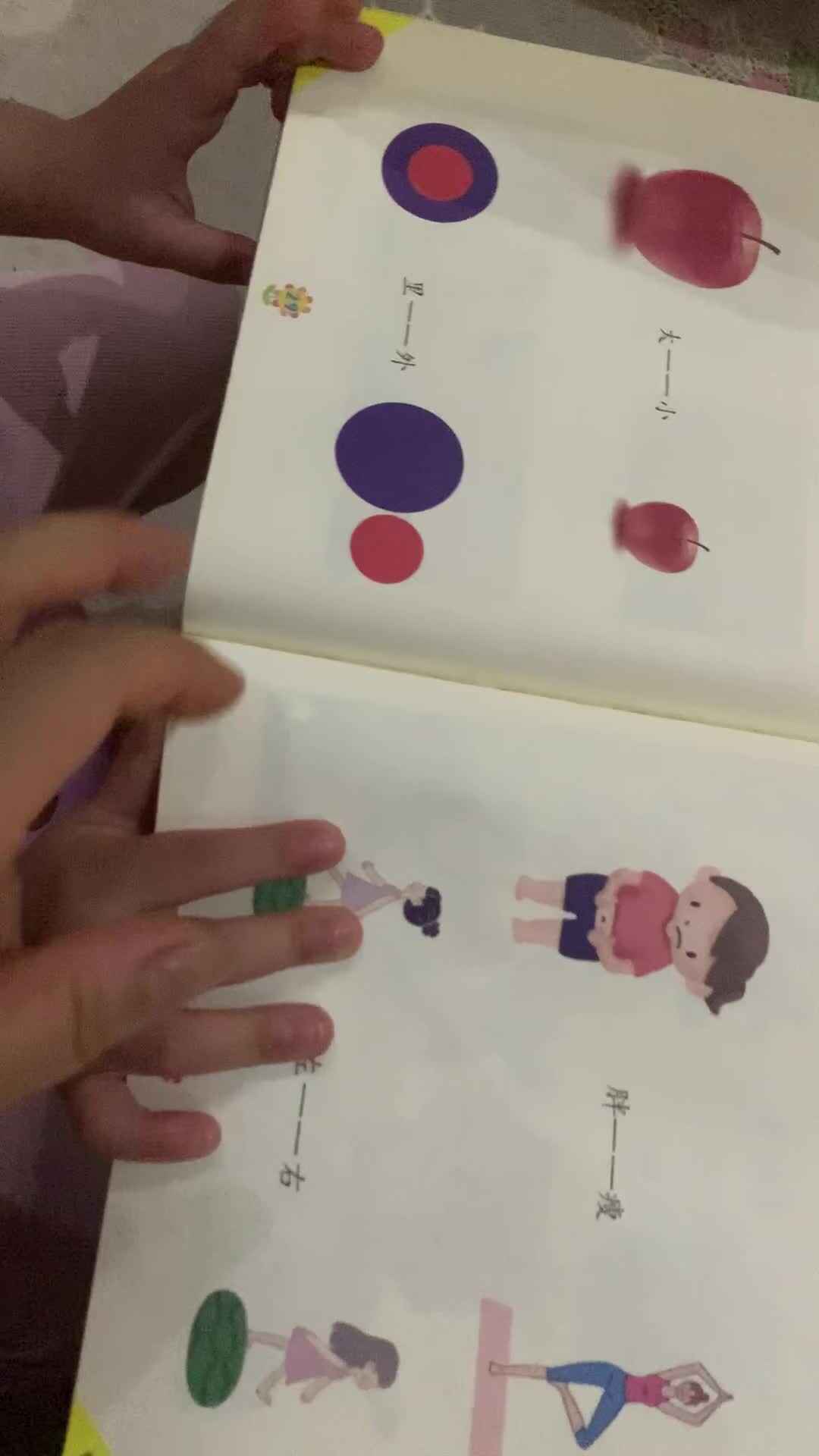 说相反