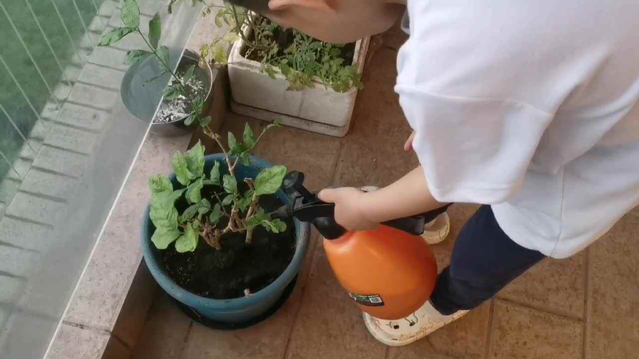 浇花