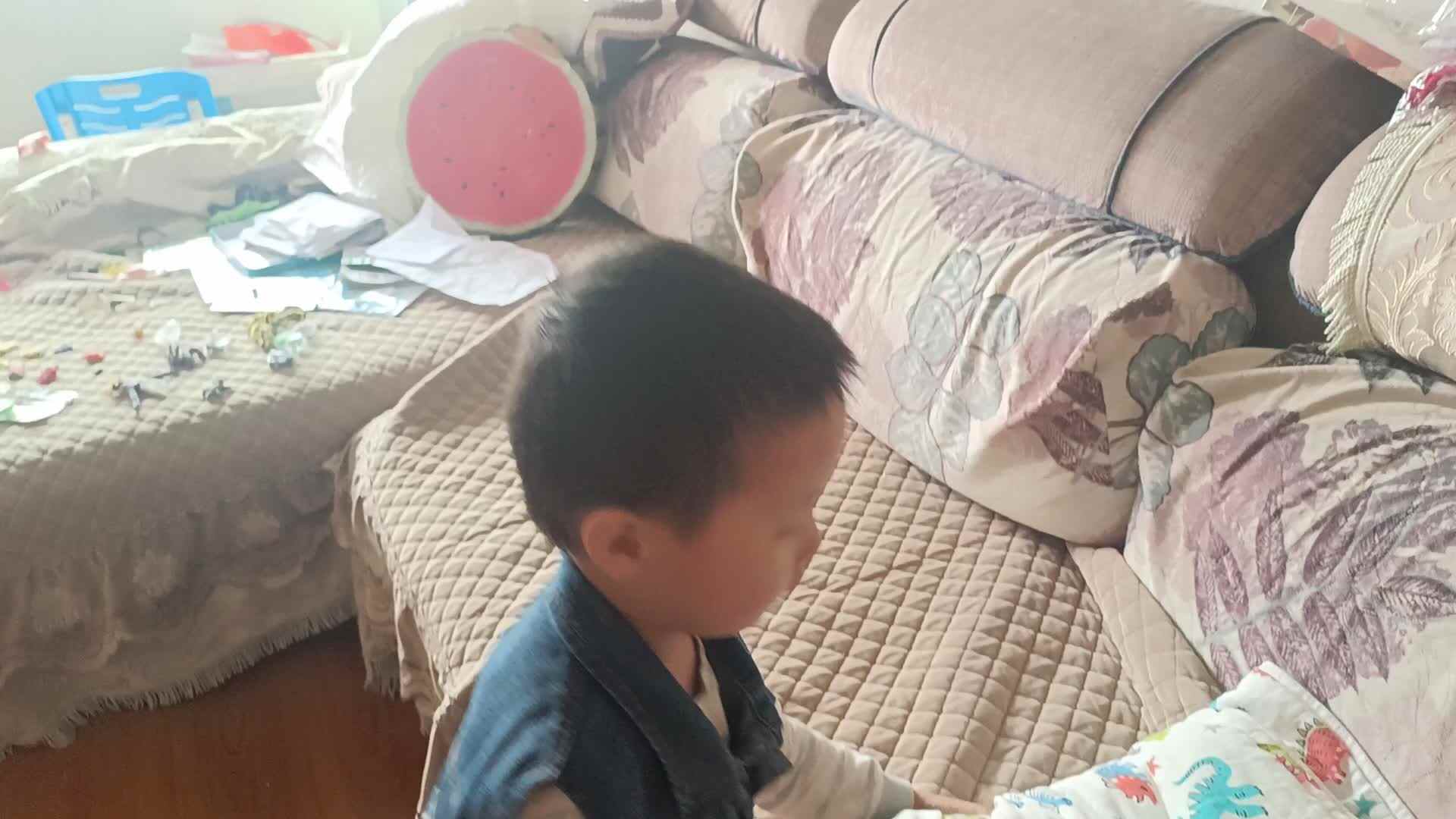 VID_20240513_080416.mp4