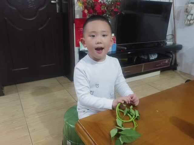 中B班赵芃栎练习择菜