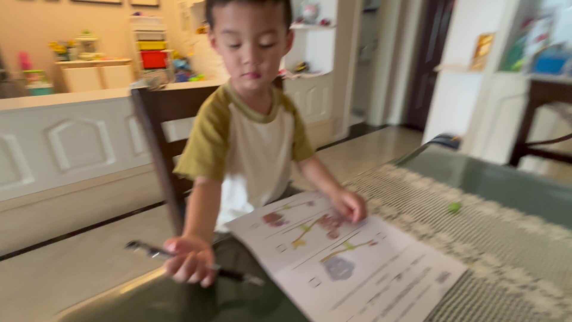 2024-6-25小A班刘奕宸逻辑思维亲子游戏单——认识轻重.mov