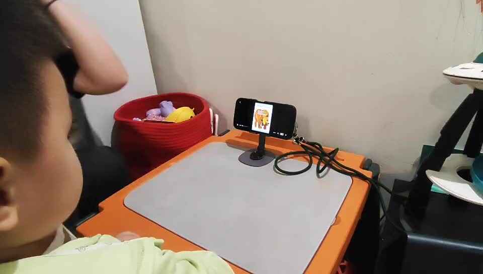 棕熊棕熊你在看什么