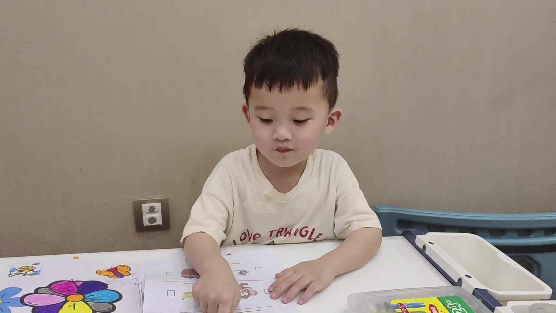 2024.6.25小A班李楷延——逻辑思维游戏轻和重.mp4