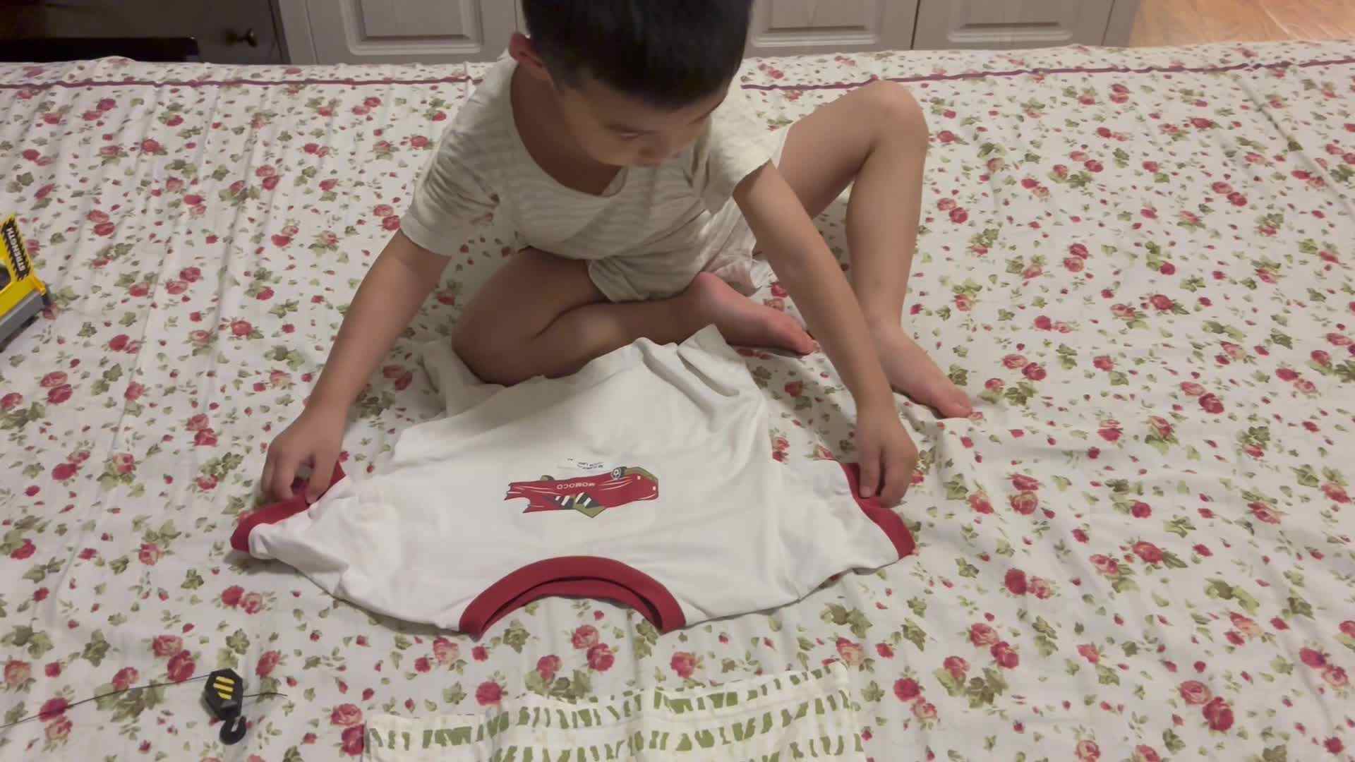 2024-6-18小A班刘奕宸生活练习叠衣服.mov