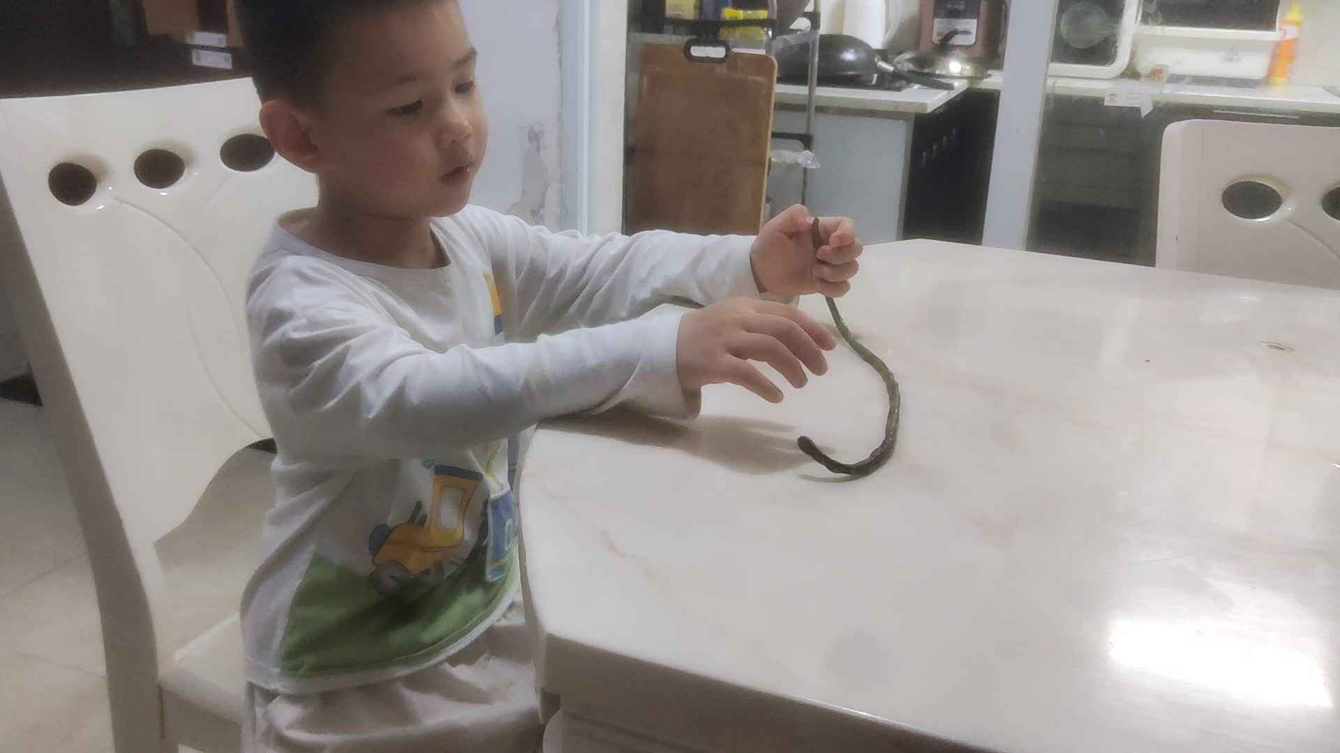 中B班李锦城20240620建议摘豆角