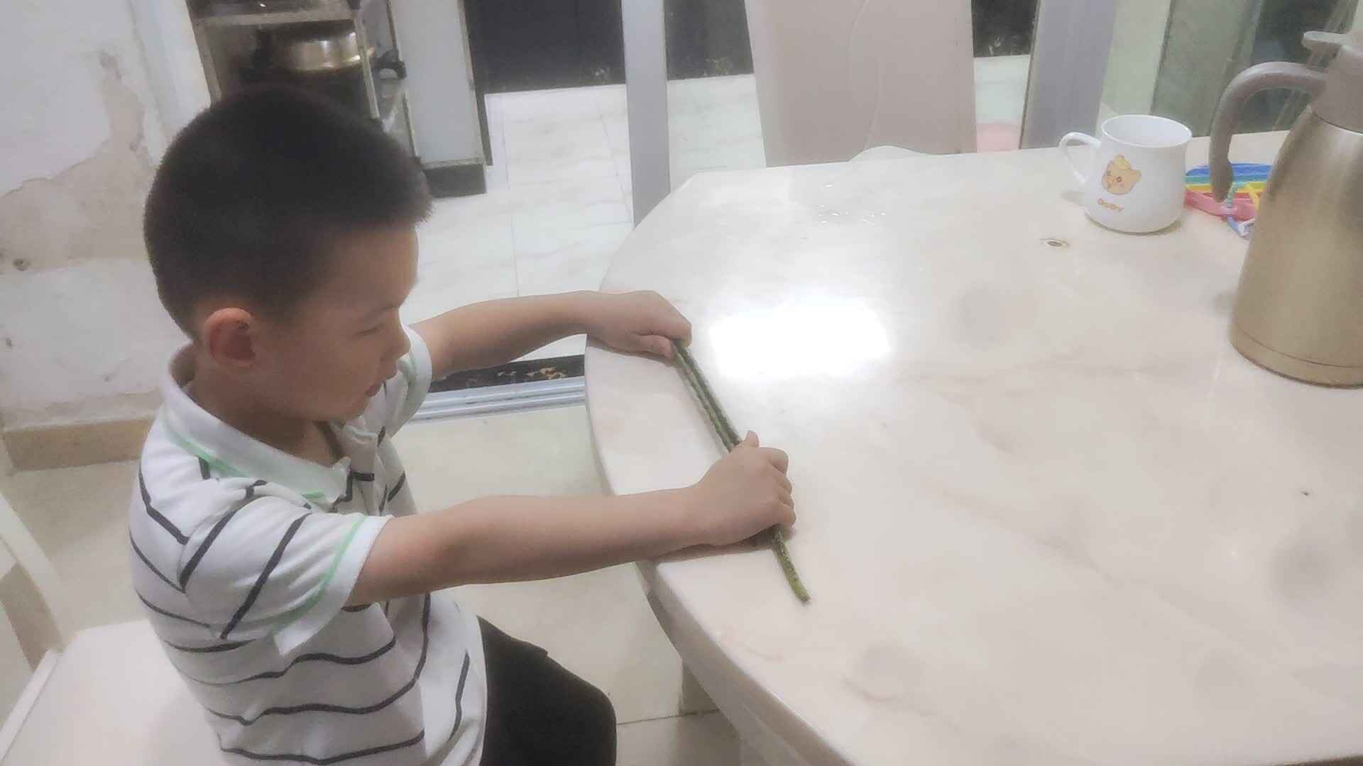 ⁣中B班李锦城20240618择豆角