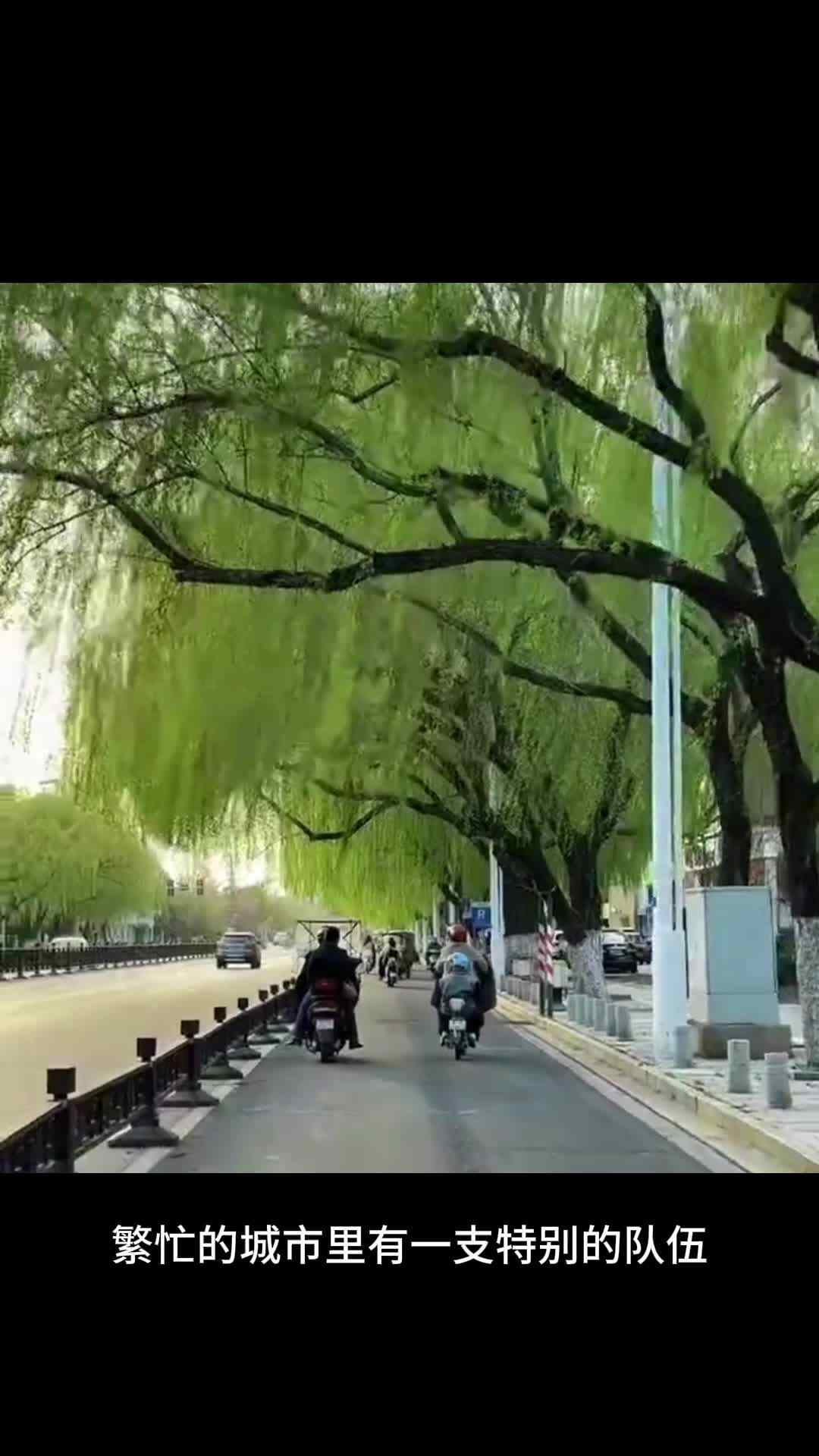 善于善行招商加盟.mp4