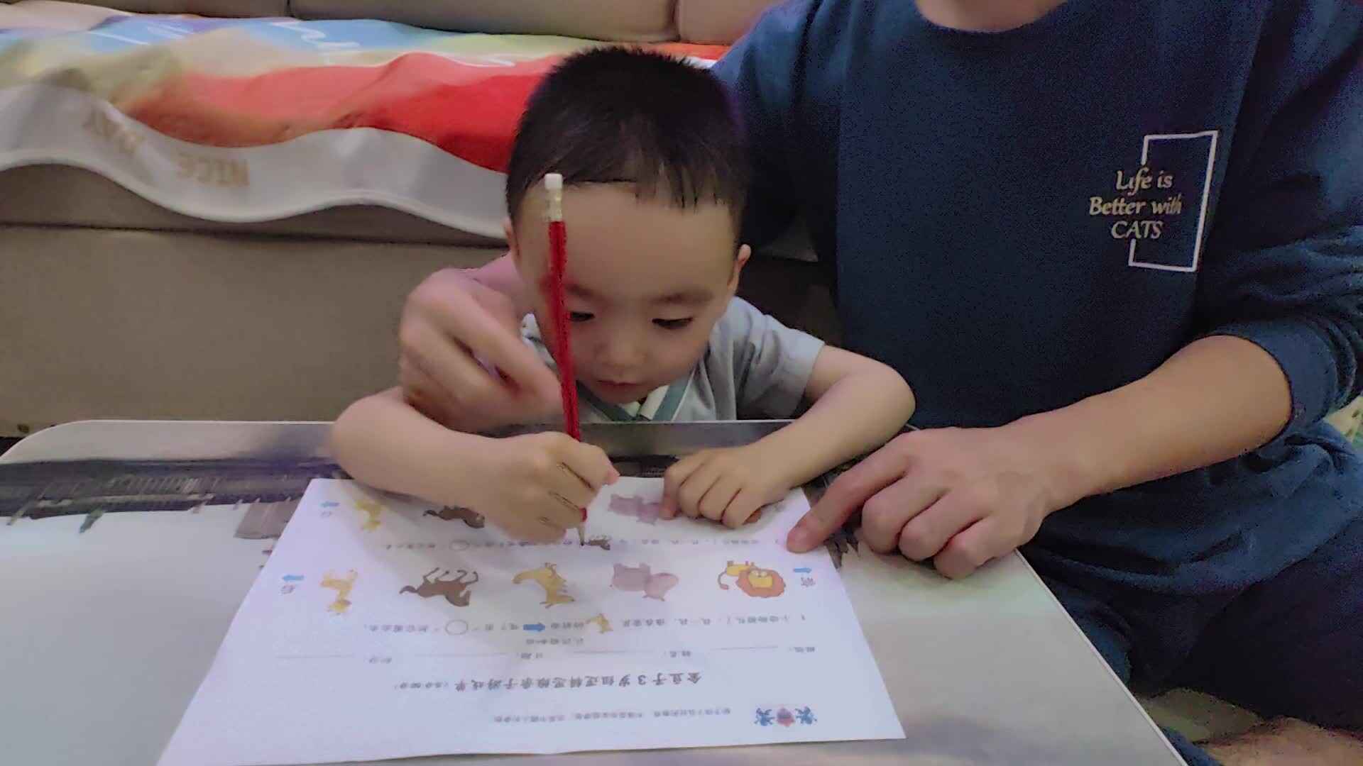 小A班蒋熠_2024.6.11_逻辑思维认识前后.mp4