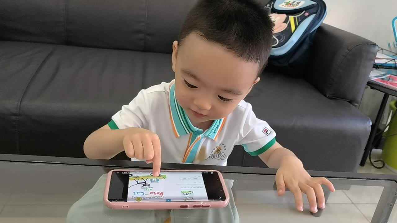 小A班蒋熠  2024.6.12  观看视频《皮特的宠物》.mp4