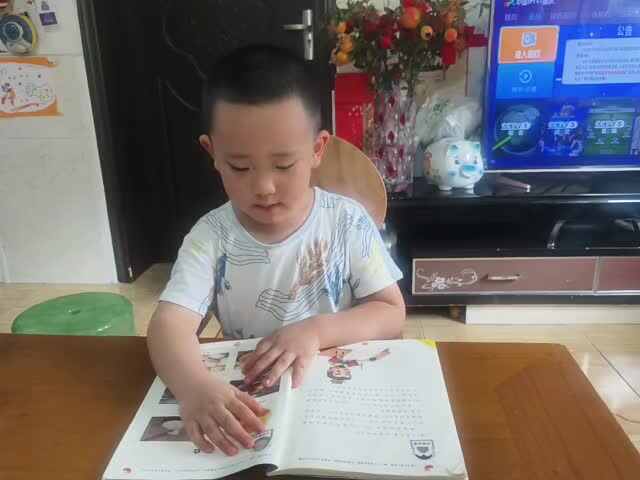 中B班赵芃栎阅读《主食》