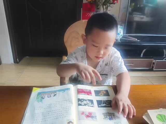 中B班赵芃栎复习语言书第11课-15课