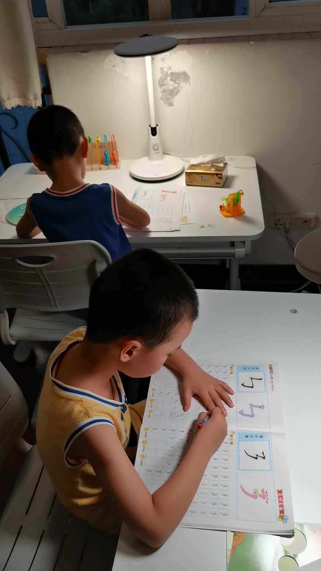 VID_20240704_195455.mp4