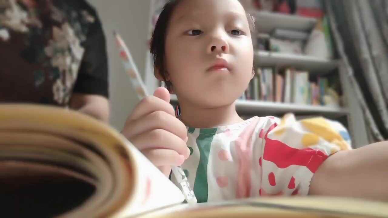 20240707陈灵兮闯过练习复习《动物》