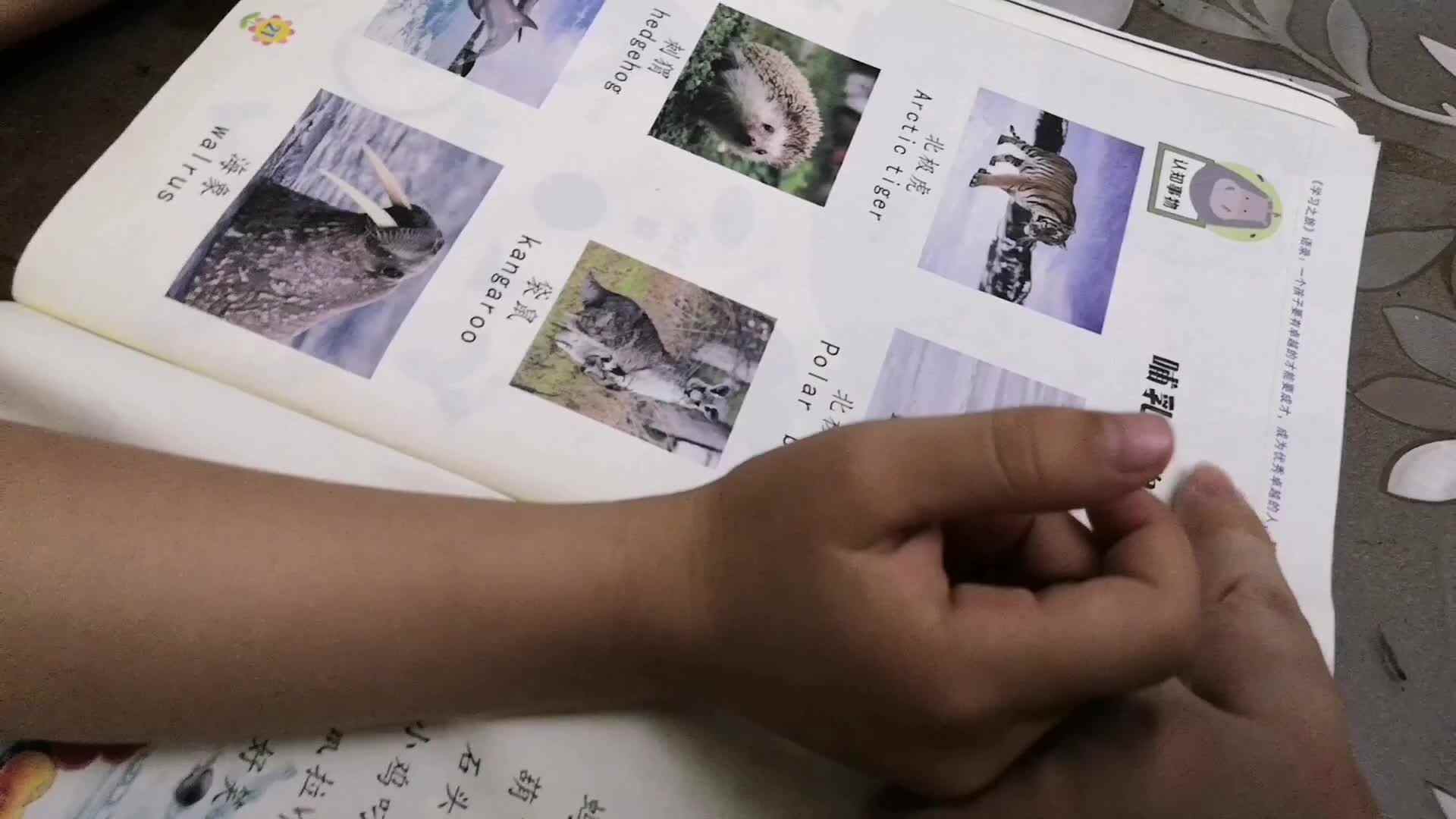 中B班7月25张芷萱复习语言书《6—10课》.mp4