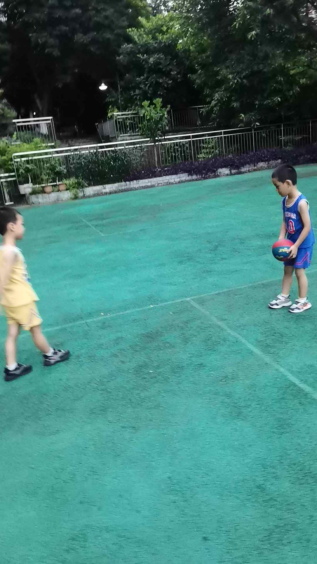 VID_20240709_195228.mp4