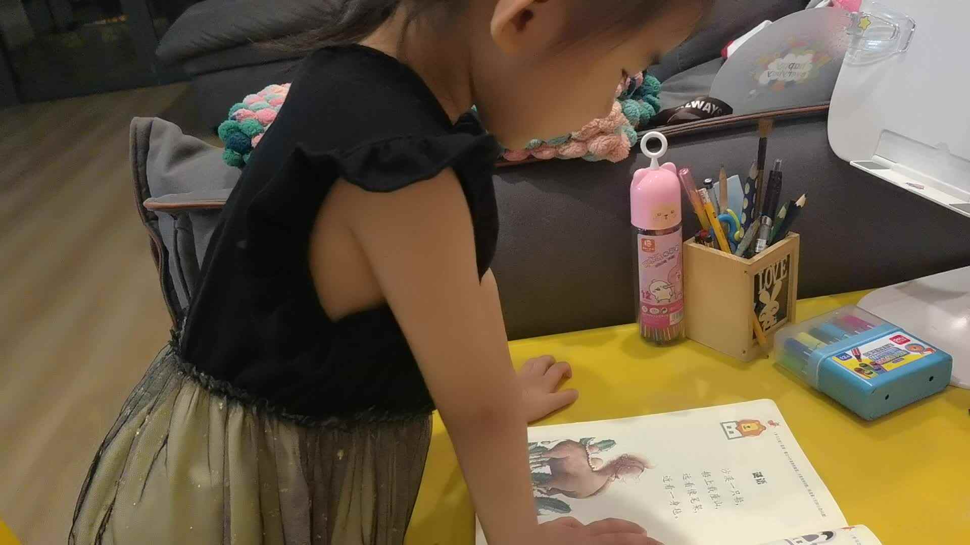 谜语、大象、花卉.mp4