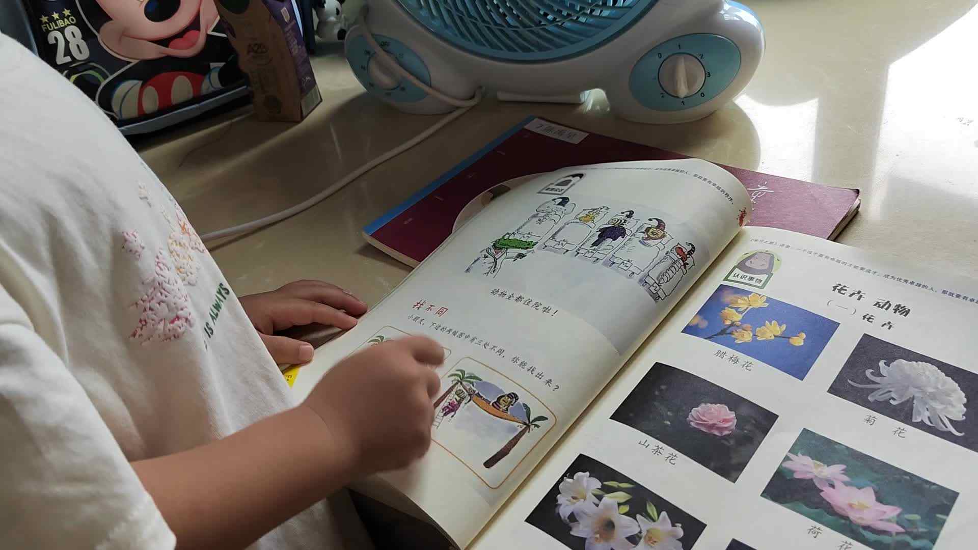 2024.7.8小a班陈禹呈：语言《认识事物》