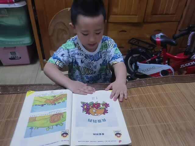 中B班赵芃栎复习语言课