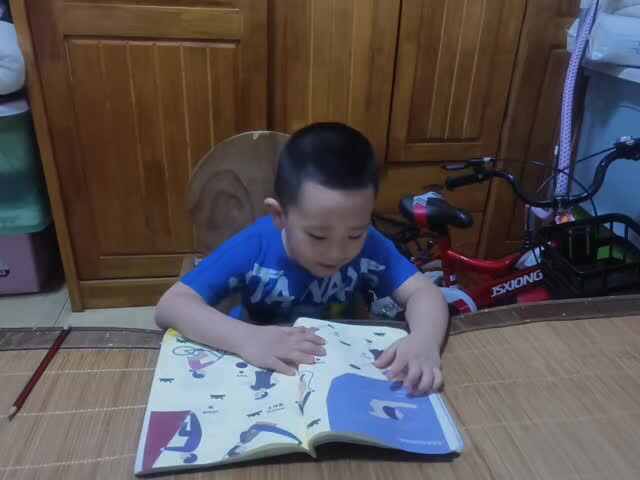 中B班赵芃栎复习语言6到10课